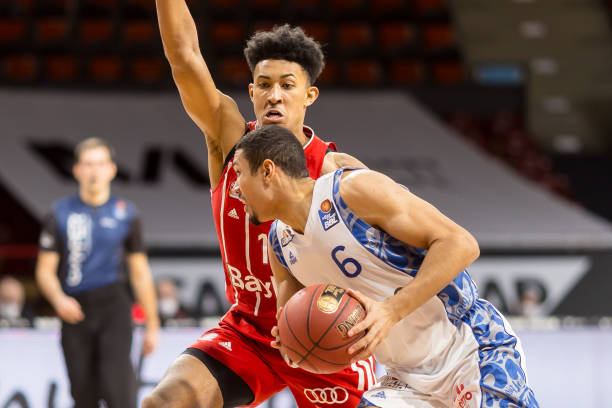 森林能够在 森林能够在